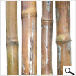 Bamboo Poles 3In X 8Ft (pack 4 poles)