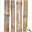 Bamboo Poles 2In X 8Ft (pack 4 poles)