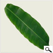 Banana leaves (3-4 feet length)